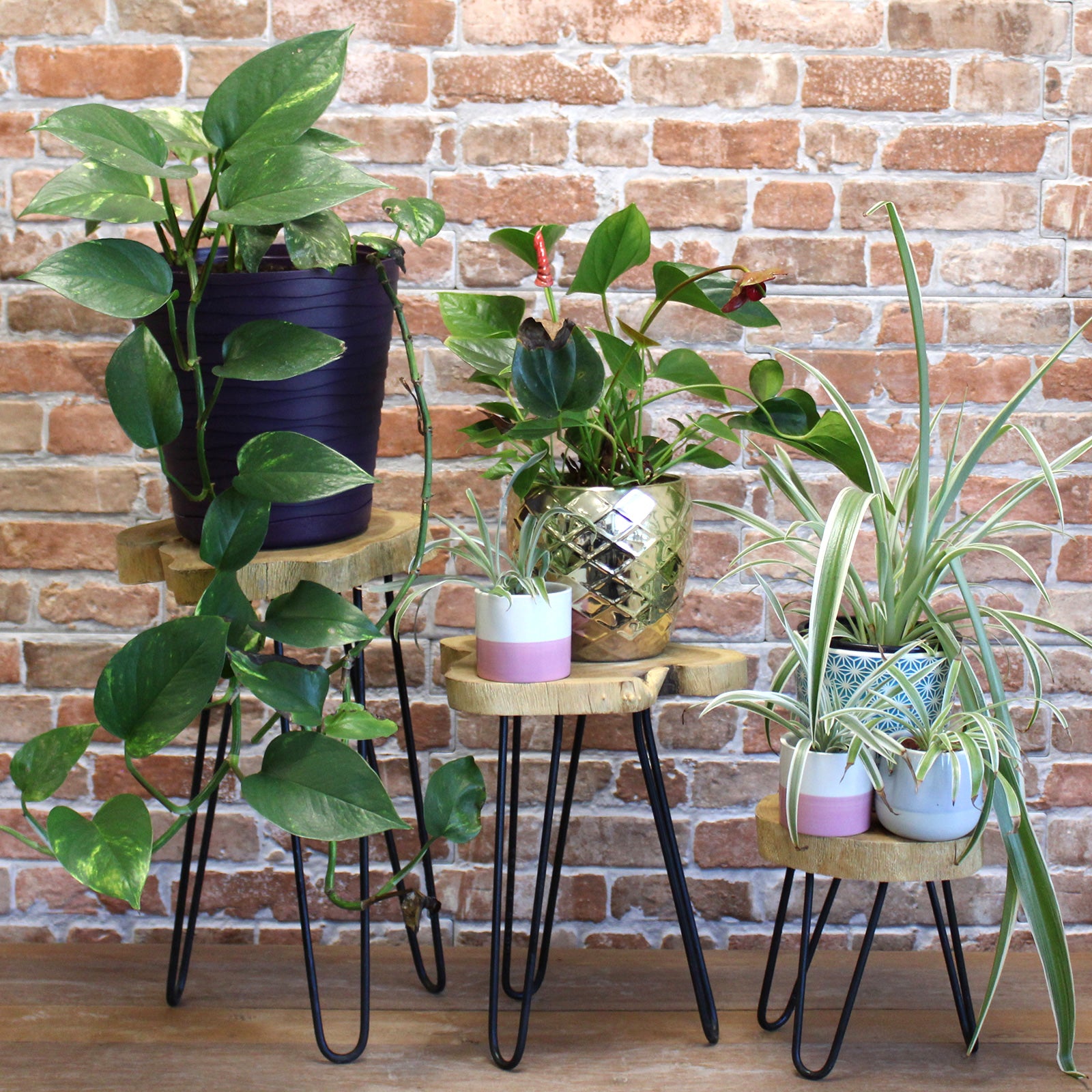 A set of 3 small plant stands. Different sizes. Handmade in Indonesia. Plants in pots on each table.